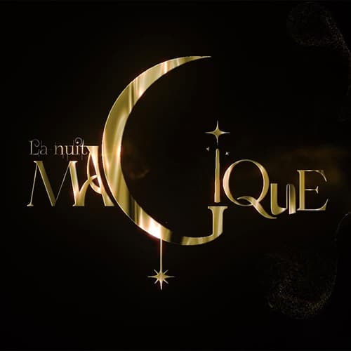 Festival La Nuit Magique Visuel 2026