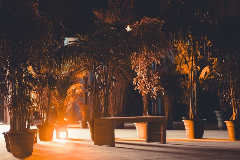 Forêt : décor scénographique d'Imagina Production @paulineglmn